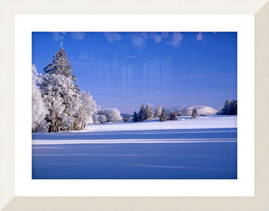  Fine Art print