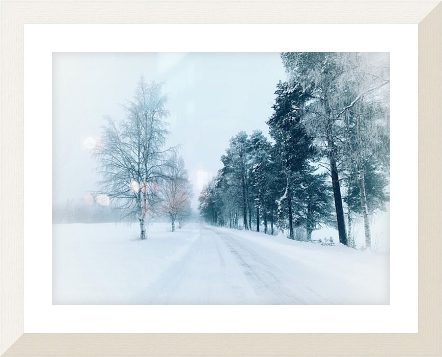  Fine Art print