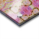 Abstract Art 1 Acrylic print
