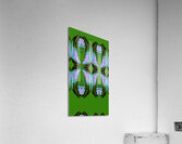 Abstract Art 47 Acrylic Print