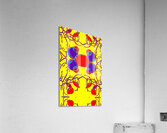 Abstract Art 76 Acrylic Print