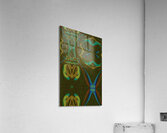Abstract Art 166 Acrylic Print