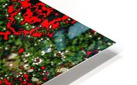 Abstract Art 1 HD Metal print