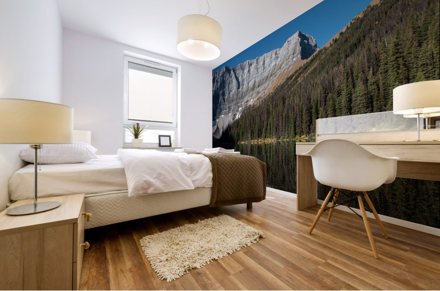 Rawson Lake 2 Mural print