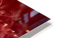 Raspberry HD Metal print
