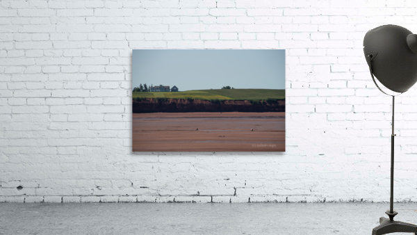 Nova Scotia 3 Wall Preview