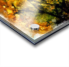 Autumn Shade Acrylic print