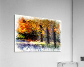 Autumn Light Acrylic Print