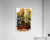 Autumn Shade Acrylic Print