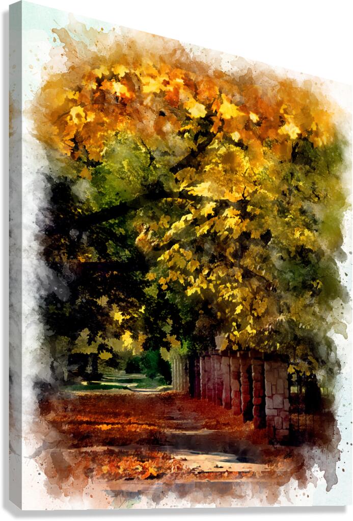 Autumn Shade Canvas Print