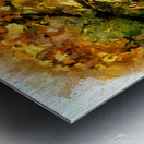 Autumn Shade Metal print