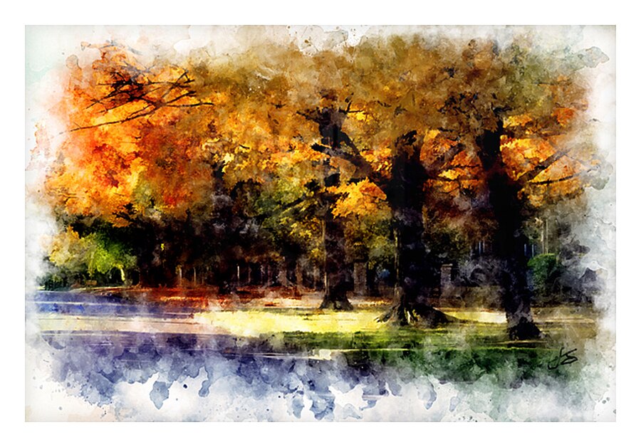 Autumn Light Picture Frame print