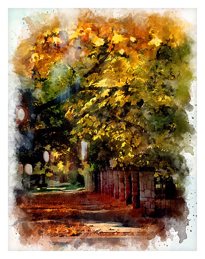 Autumn Shade Picture Frame print