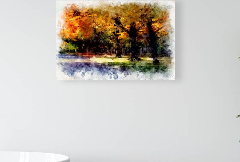 Autumn Light by John S Stewart