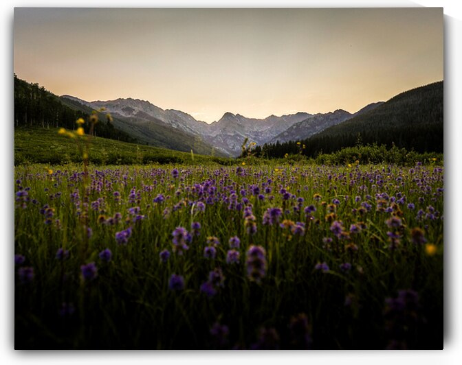 Piney River Ranch Spring Twilight - Vail Colorado by Owen O Connor