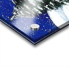 winter Acrylic print