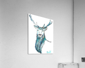 Buck Acrylic Print