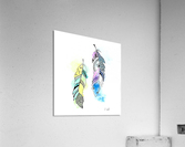 Feathers Acrylic Print