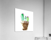catus Acrylic Print