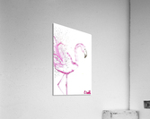 flamingo  Acrylic Print