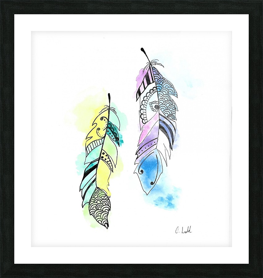 Feathers Picture Frame print