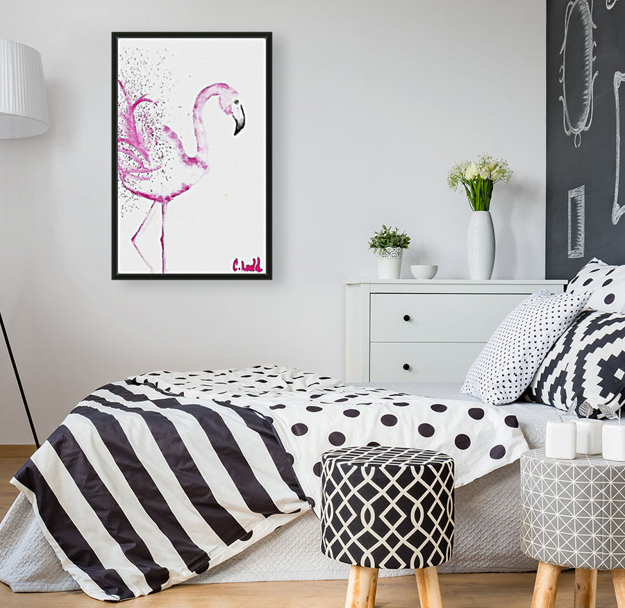 flamingo  Reproduction