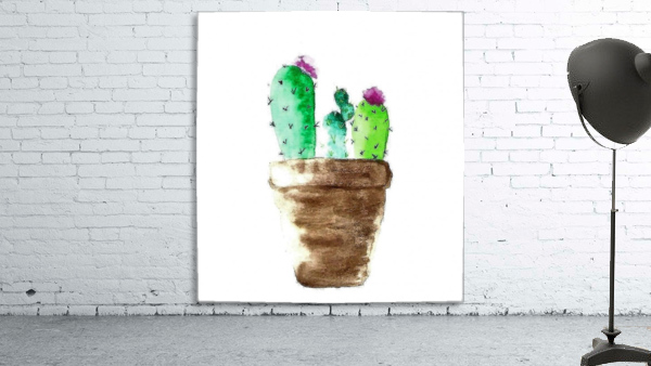 catus Wall Preview