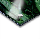 keep it green Acrylic print