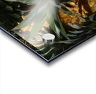 Tropic Acrylic print