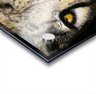 cheetah Acrylic print