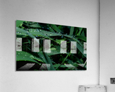 keep it green Acrylic Print