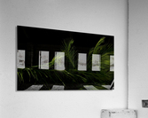 keep it green Acrylic Print