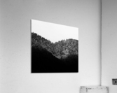 Tripin Swiss Acrylic Print