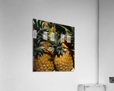 Tropic Acrylic Print