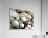 Bubbles Acrylic Print