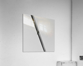Solo Acrylic Print