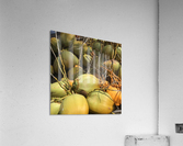 Coco Acrylic Print
