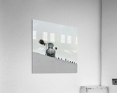 Freedom Acrylic Print