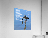 Trip in Mexico Acrylic Print