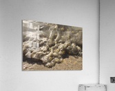 Trip in Mauritius Acrylic Print
