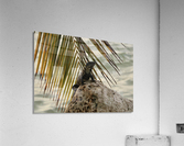 Trip in Mexico Acrylic Print