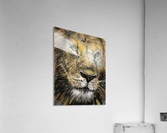 lion Acrylic Print