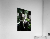 Monkey Forest Acrylic Print