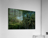 Feu - illes Acrylic Print