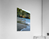 Freedom Acrylic Print