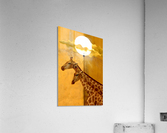 two-headed jəˈraf Acrylic Print