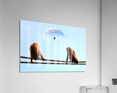 blue moon keys Acrylic Print