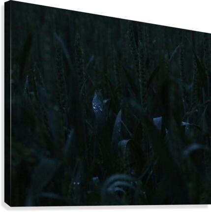 keep it green Canvas Print