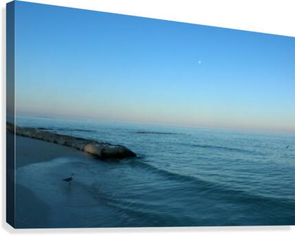 Tripin Canvas Print