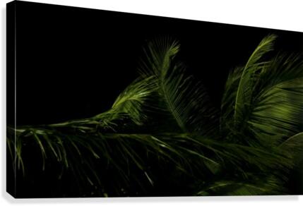 keep it green Canvas Print
